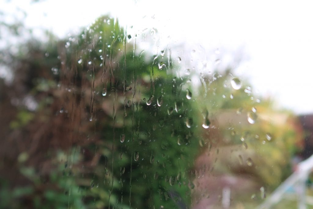 Do Window Cleaners Dry Windows?